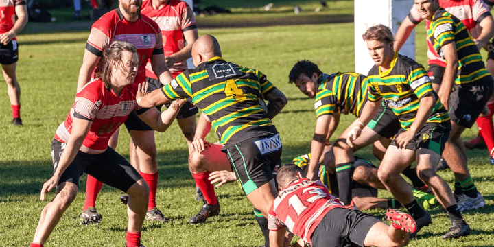 Hastings Valley Vikings Port Macquarie Rugby Union Club